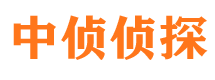 尼木市调查公司